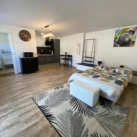 Climatisé 30 M2 à 2 Min De Colmar Apartamento *