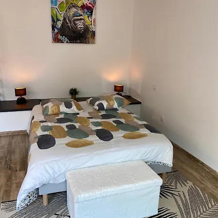 Climatisé 30 M2 à 2 Min De Colmar *