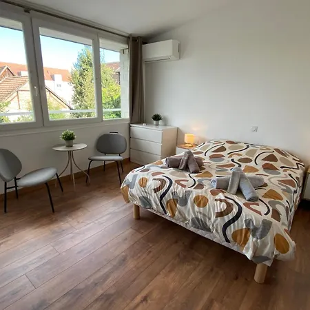 Climatisé 30 M2 à 2 Min De Colmar *